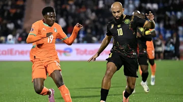 Les Lions Indomptables, quand le Cameroun défie le destin