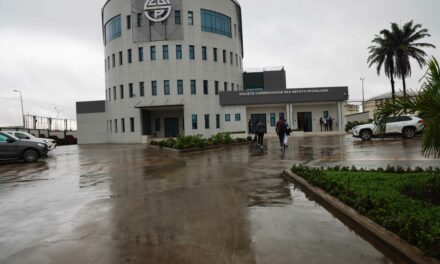 SCDP : Cap sur l&rsquo;innovation et la sécurité énergétique au Cameroun avec de nouvelles infrastructures majeures